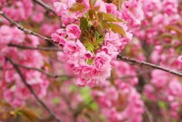 温州龙湾区3线下个人借款平台一站式服务，轻松解决资金难题