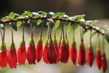 温州龙湾区3零用贷短借：轻松解决临时资金需求