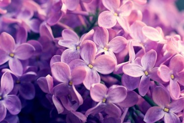 温州龙湾区3企业急用钱贷款攻略：快速融资解燃眉之急